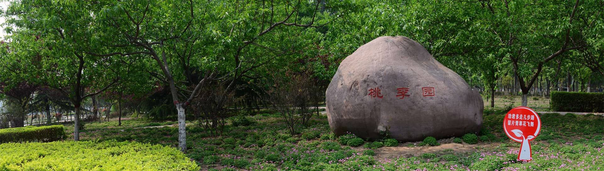 济源职业技术学院